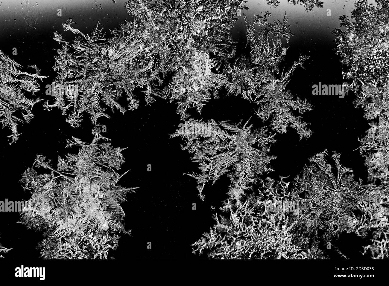 Ein abstraktes Foto eines Frostmusters auf einem Glasstück. Das Makro ist ein schwarz-weiß strukturierter frostiger Kristall Schneeflocken. Stockfoto