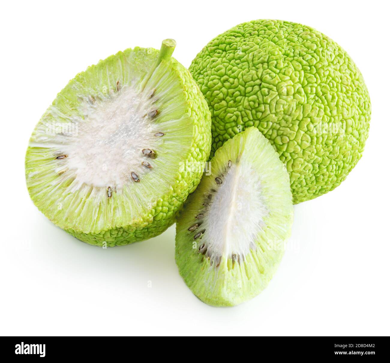 Heckenapfel (Maclura oder osage orange) isoliert auf weißem Hintergrund. Stockfoto