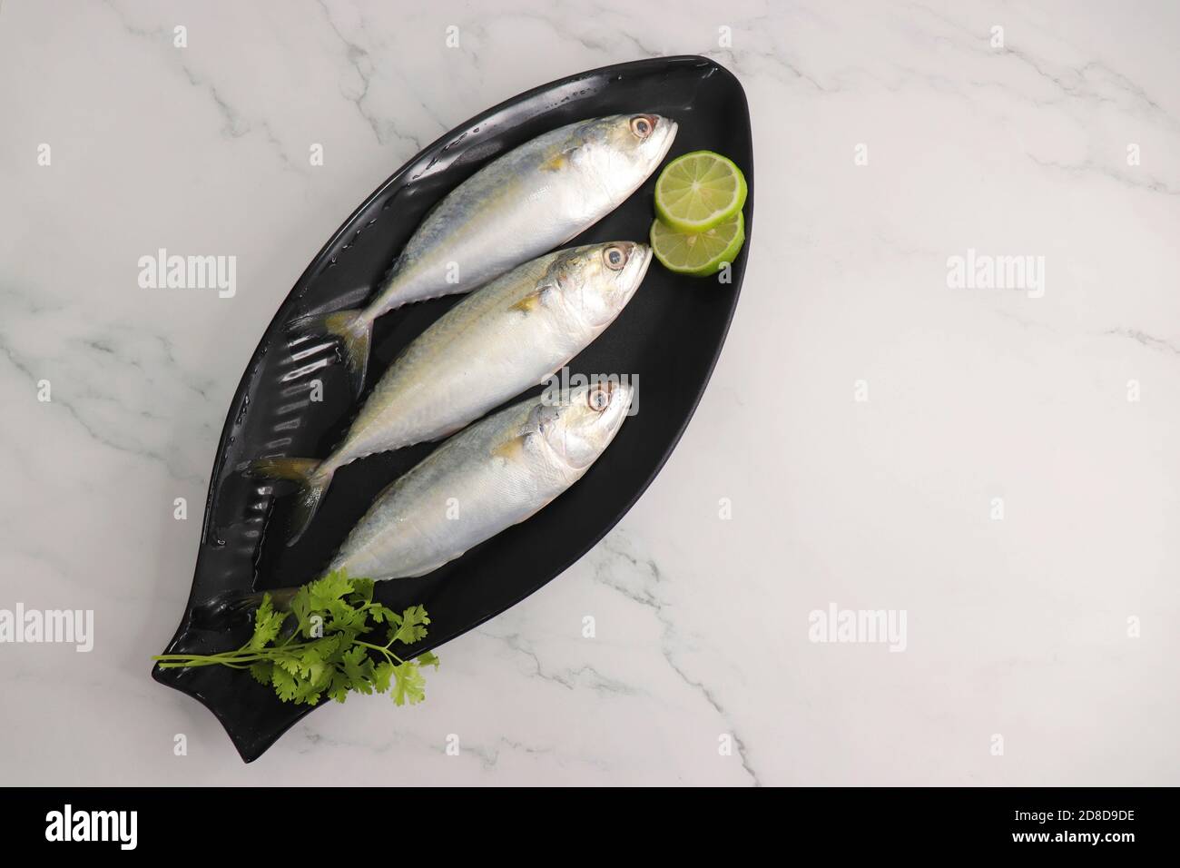 Ungekochte indische Makrelenfische Rastrelliger kanagurta. Auch bekannt als Bangda Fisch. Freier Speicherplatz für Kopien. Zitronenkeil und Koriander. Draufsicht Fischhintergrund. Stockfoto