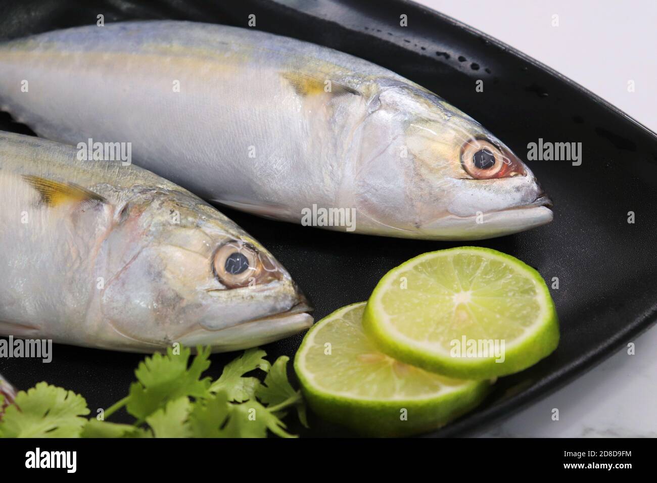 Ungekochte indische Makrelenfische Rastrelliger kanagurta. Auch bekannt als Bangda Fisch. Freier Speicherplatz für Kopien. Zitronenkeil und Koriander. Draufsicht Fischhintergrund. Stockfoto