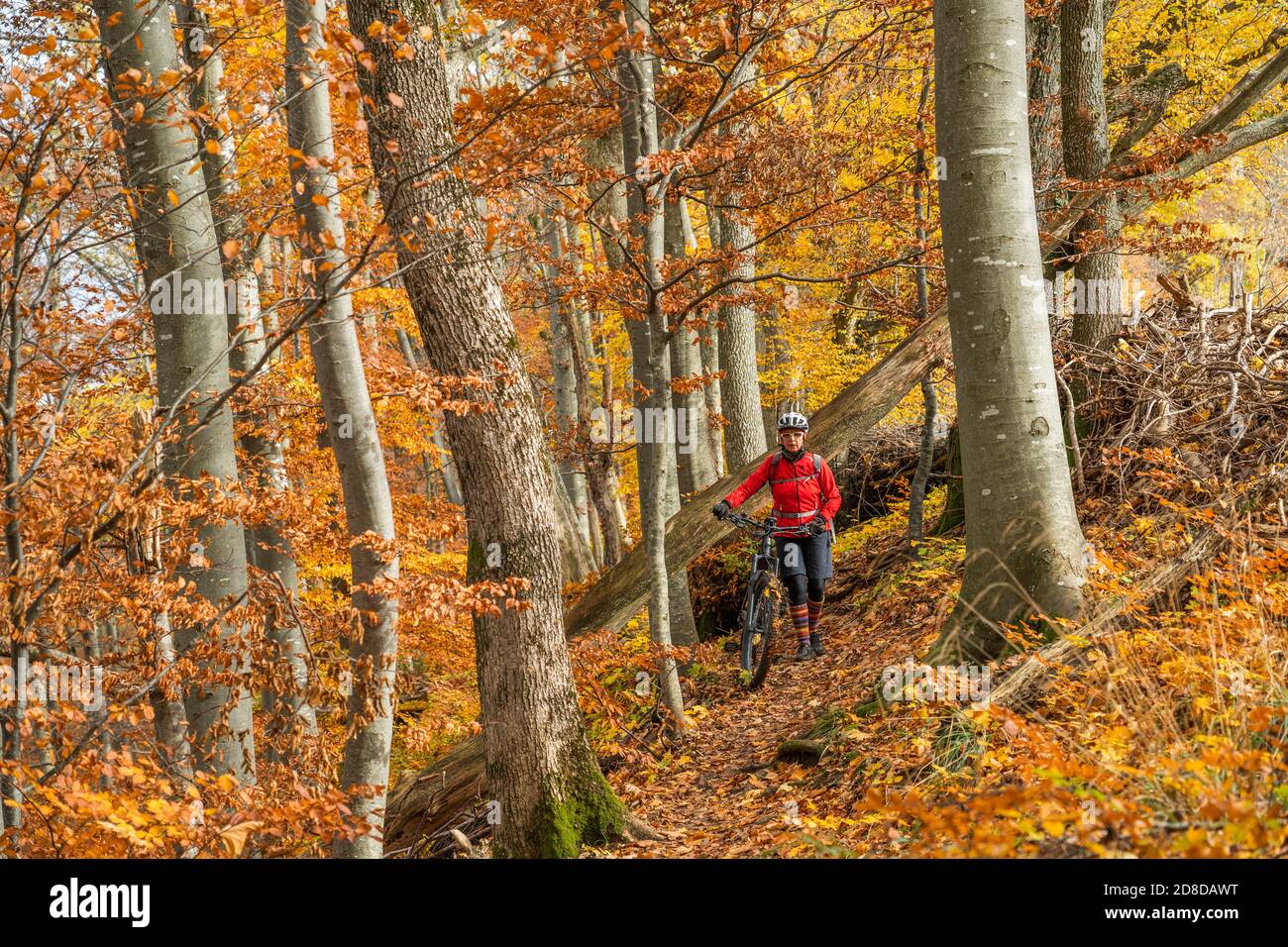Sympathische aktive Seniorin, die mit ihrem Elektro-Mountainbike in den goldfarbenen Herbstwäldern der Schwäbischen Alb fährt Stockfoto