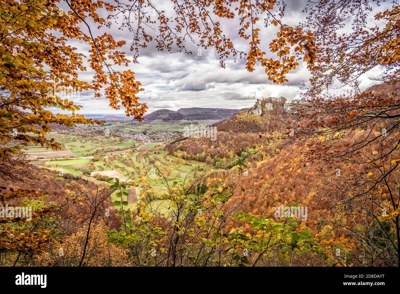 Herbstlandschaft mit goldfarbenem Laub auf der Schwäbischen Alb in Baden-Württemberg, Deutschland, Landschaft Stockfoto