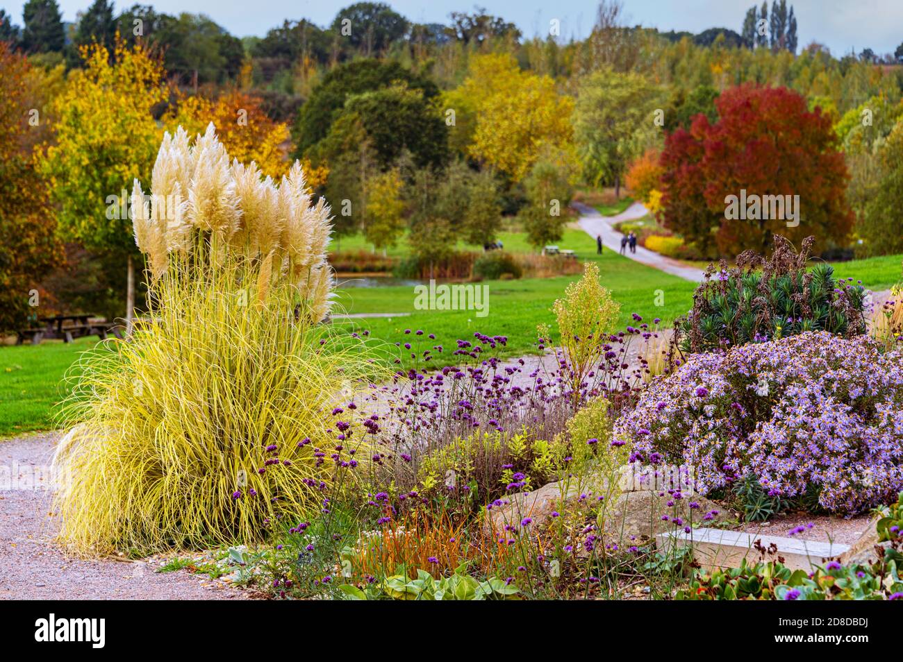 Trockener Garten im Herbst. Stockfoto