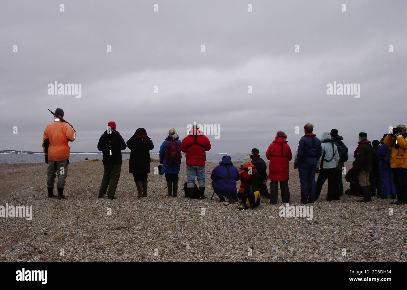 Eisbären-Angriff - ein bewaffneter Führer steht Wache, während Touristen Walross auf einer Insel des Svalbard archielago fotografieren. Stockfoto