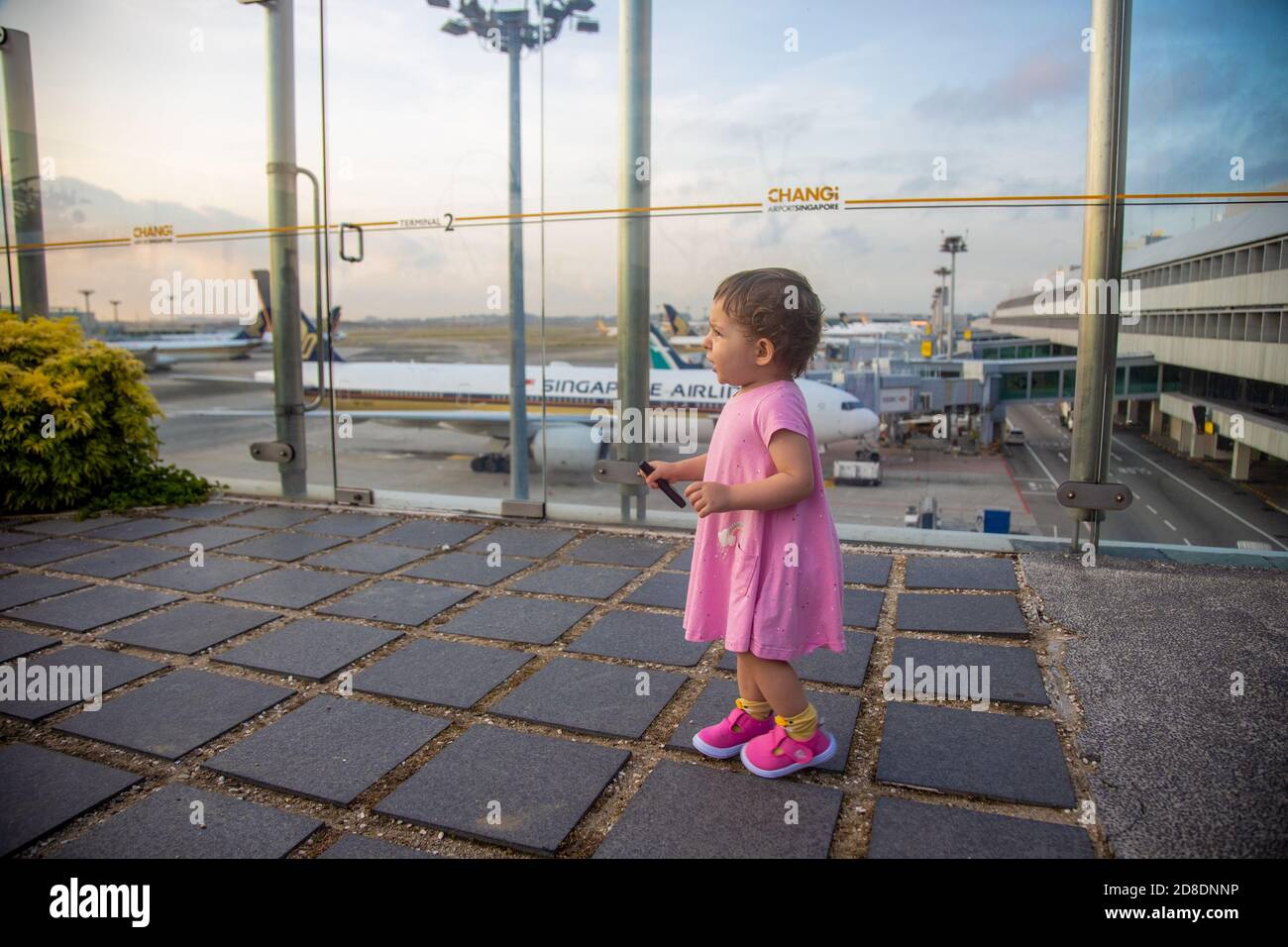 SINGAPUR - 11. FEBRUAR 2020: Kleinkind in einem rosa Kleid steht im Sonnenblumengarten auf dem Dach des Changi Airport vor der Kulisse Stockfoto
