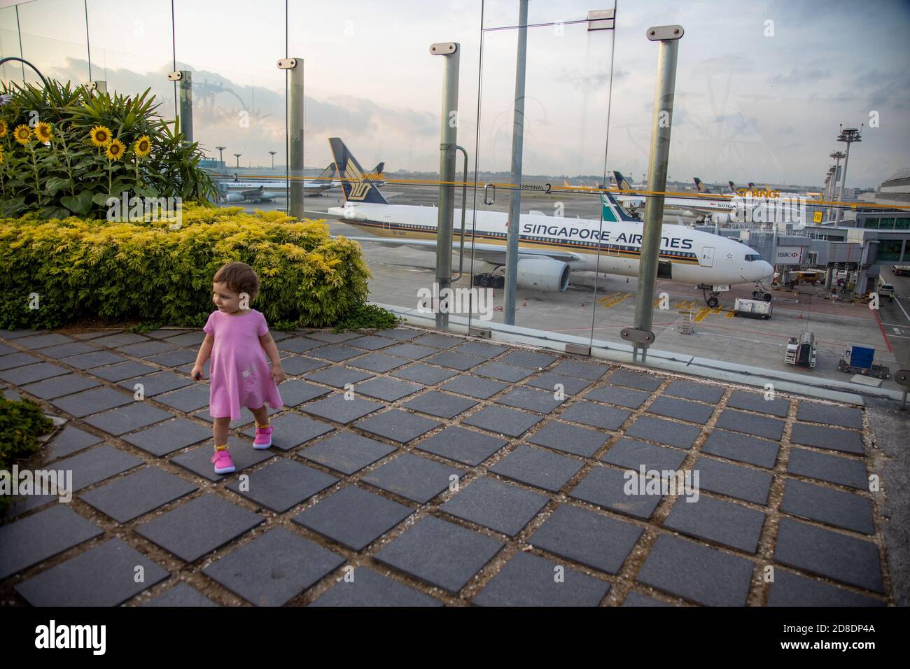 SINGAPUR - 11. FEBRUAR 2020: Kleinkind in rosa Kleid Spaziergänge im Sonnenblumengarten auf dem Dach des Changi Airport vor der Kulisse der Stockfoto