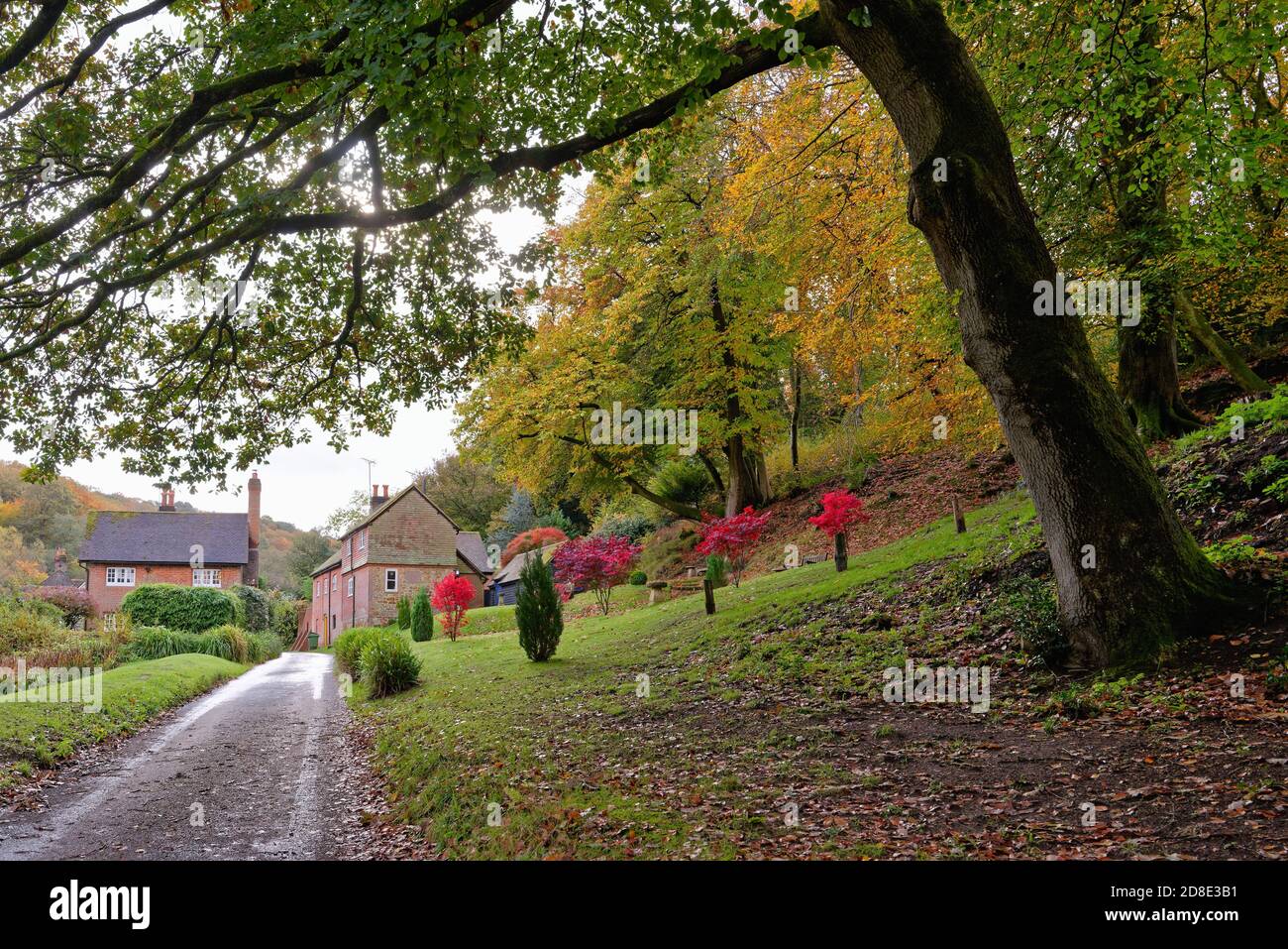 Eine abgelegene Landstraße mit ländlichen Hütten an der Friday Street An einem Herbsttag Surrey Hills England Stockfoto