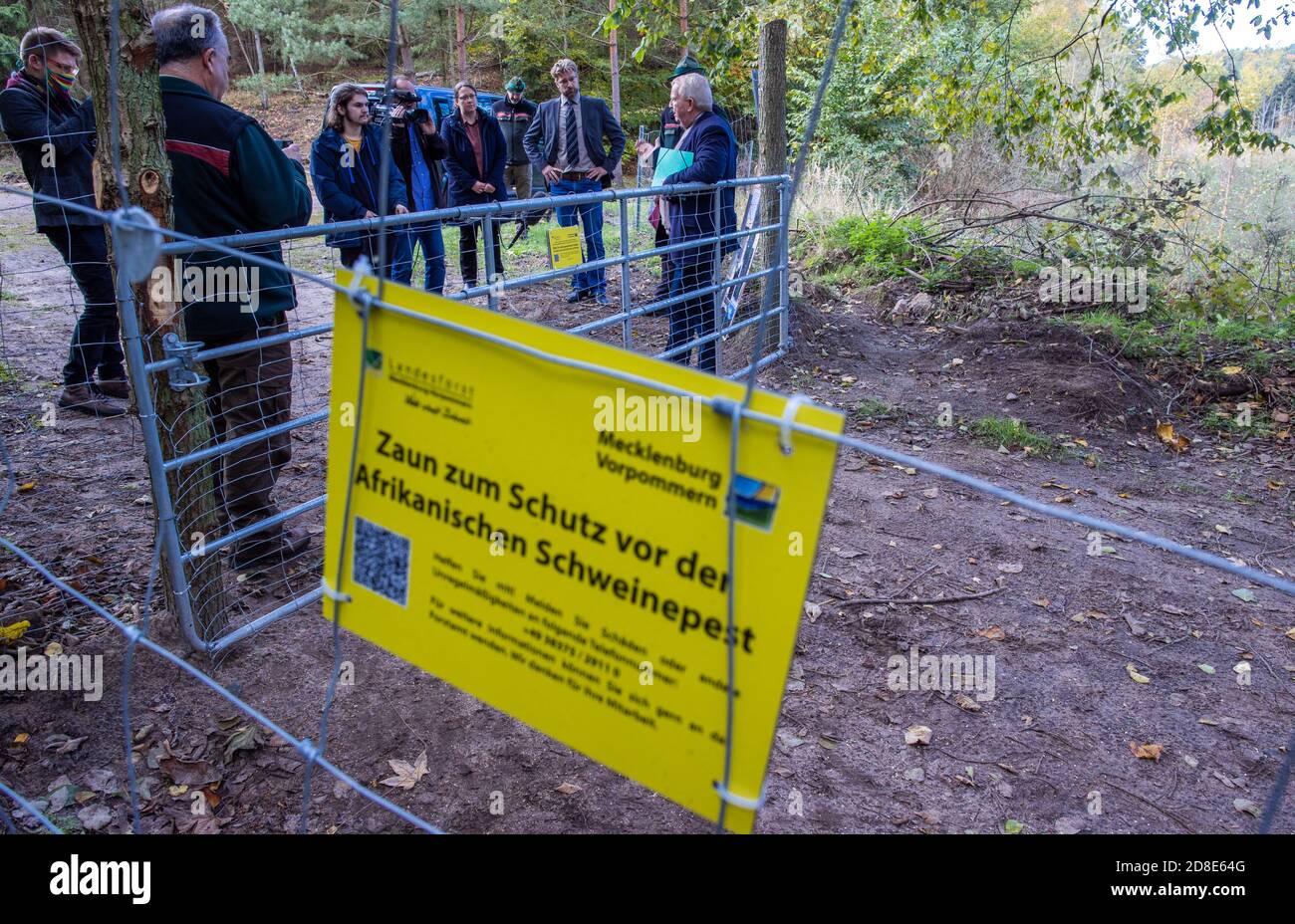 22. Oktober 2020, Mecklenburg-Vorpommern, Korswandt: Till Backhaus (SPD, r), Landwirtschaftsminister Mecklenburg-Vorpommerns, steht mit Forstarbeitern an der Grenze zwischen Polen und Deutschland am neuen Schutzzaun, um vor Schweinepest zu schützen. Ein Metallzaun soll verhindern, dass Wildschweine überlaufen, falls sich die Afrikanische Schweinepest (ASP) entlang der Küste ausbreitet. Der Wildschweinzaun zum Schutz vor Schweinepest an der Grenze zu Polen ist in Mecklenburg-Vorpommern halbfertig. Um die Einführung der Tierkrankheit zu verhindern, die in Pola weit verbreitet ist Stockfoto