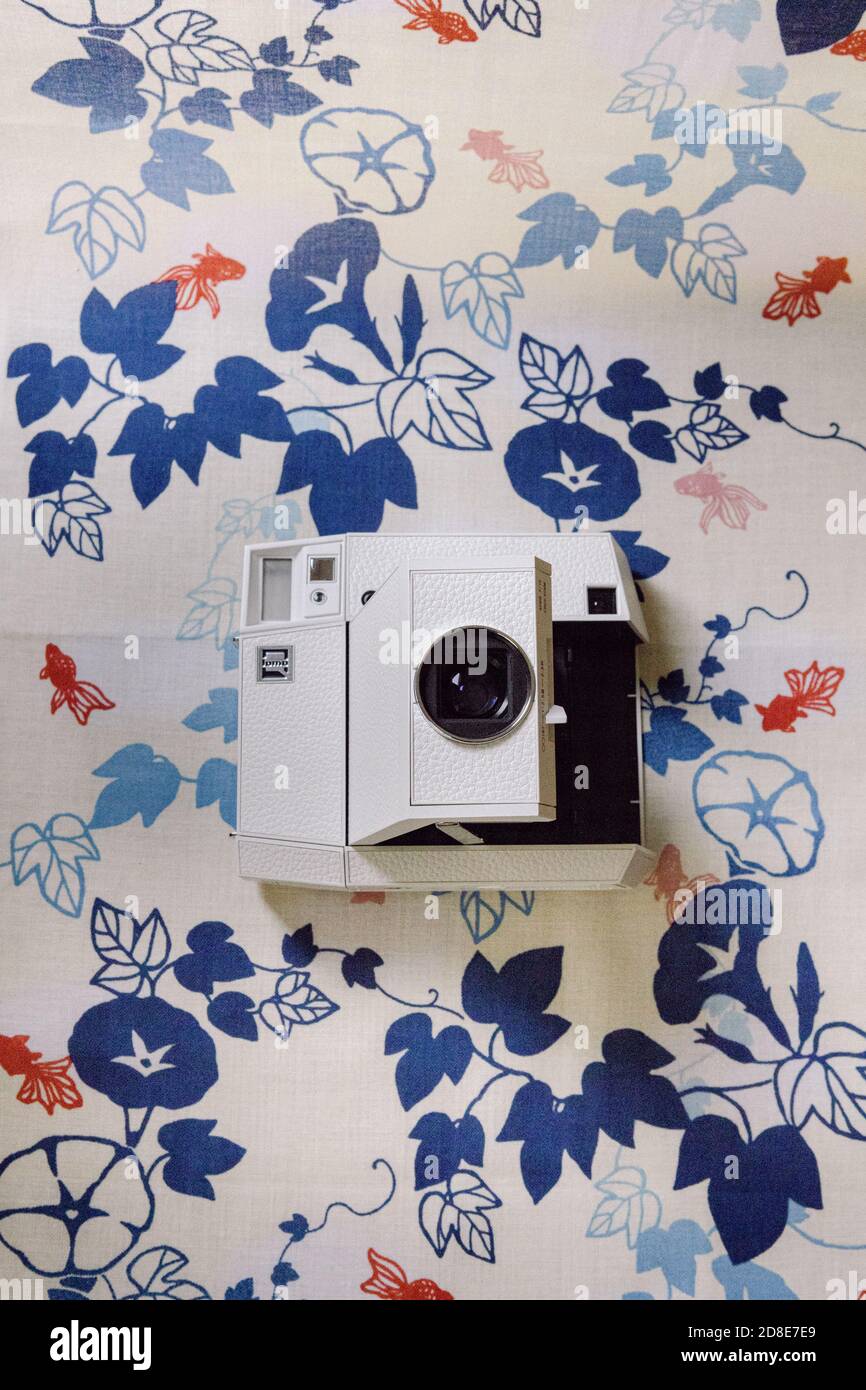 Lomography vintage Instant Film Kamera auf einem dekorierten Hintergrund mit Blaue Blüten und Blätter und rote japanische Fische Stockfoto