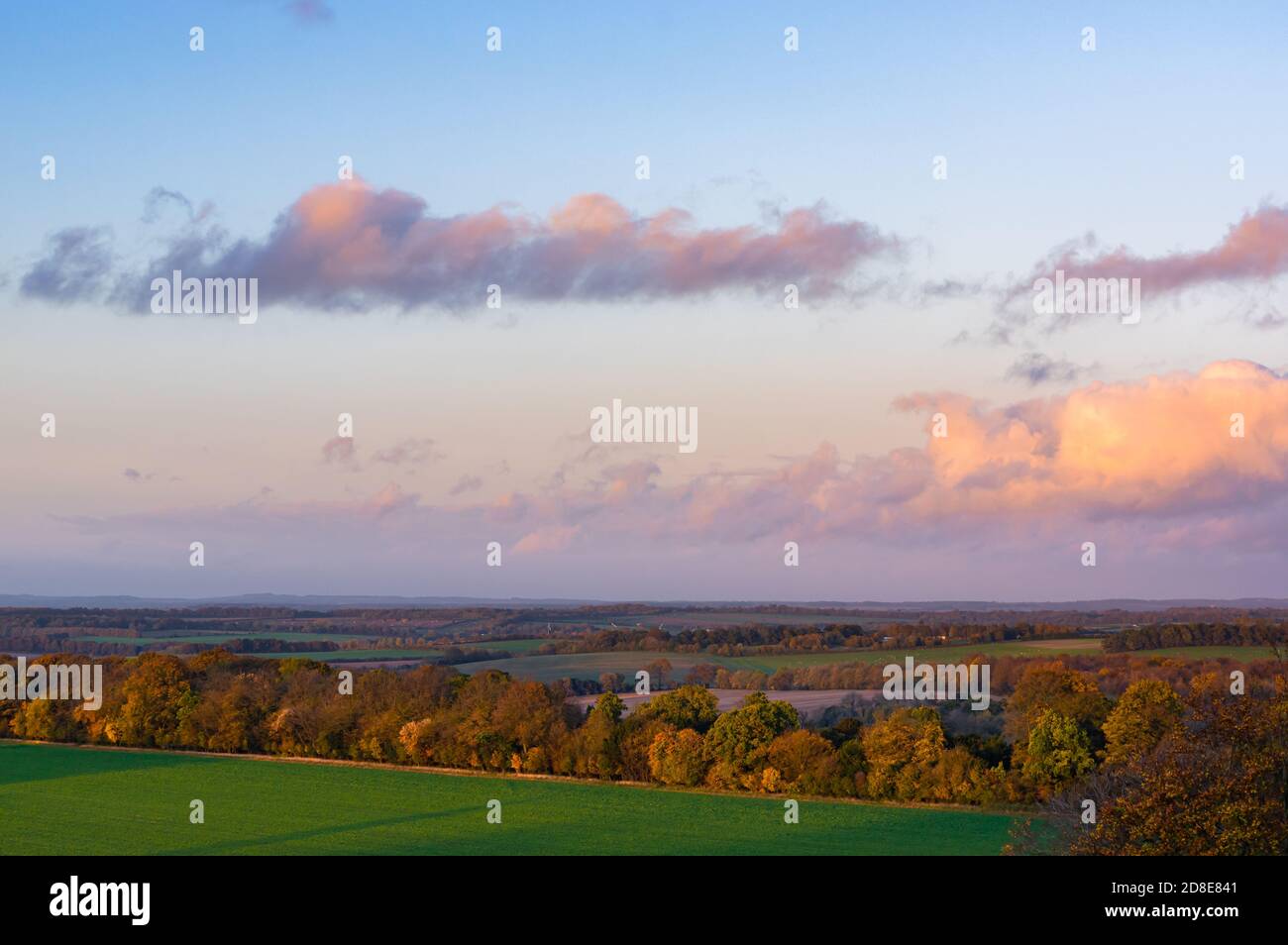 Goldenes Abendlicht bei Sonnenuntergang, das im Herbst eine typisch englische Landschaftsszene beleuchtet. Farley Mount, Hampshire, England. Stockfoto