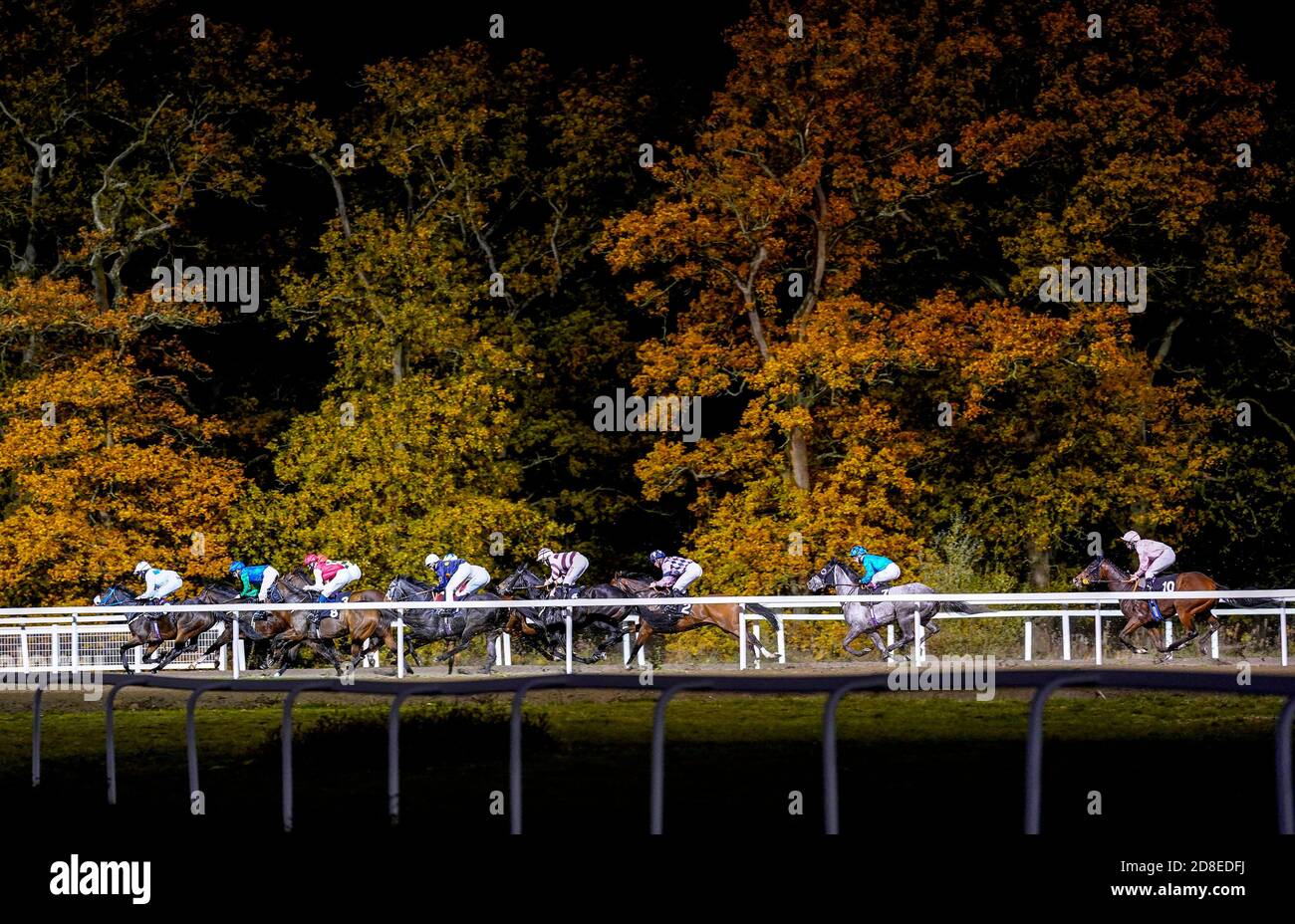 Noble Queen von Jockey Oisin Murphy (zweite rechts) sitzt am Heck, bevor Sie auf die Racing Welfare Unterstützung Racing's Workforce Handicap (Div 1) auf Chelmsford City Racecourse zu gewinnen. Stockfoto