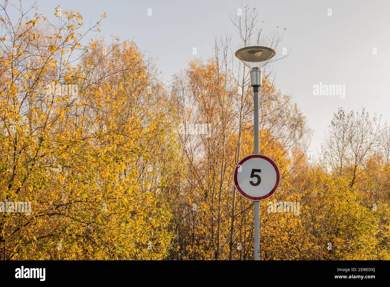 Straßenschild in der Nähe einer Laterne auf dem Hintergrund eines Herbstes gelben Waldkreis rot Geschwindigkeit 5, Herbstwiese, grünes Gras helles Sonnenlicht Asphaltstraße in Stockfoto