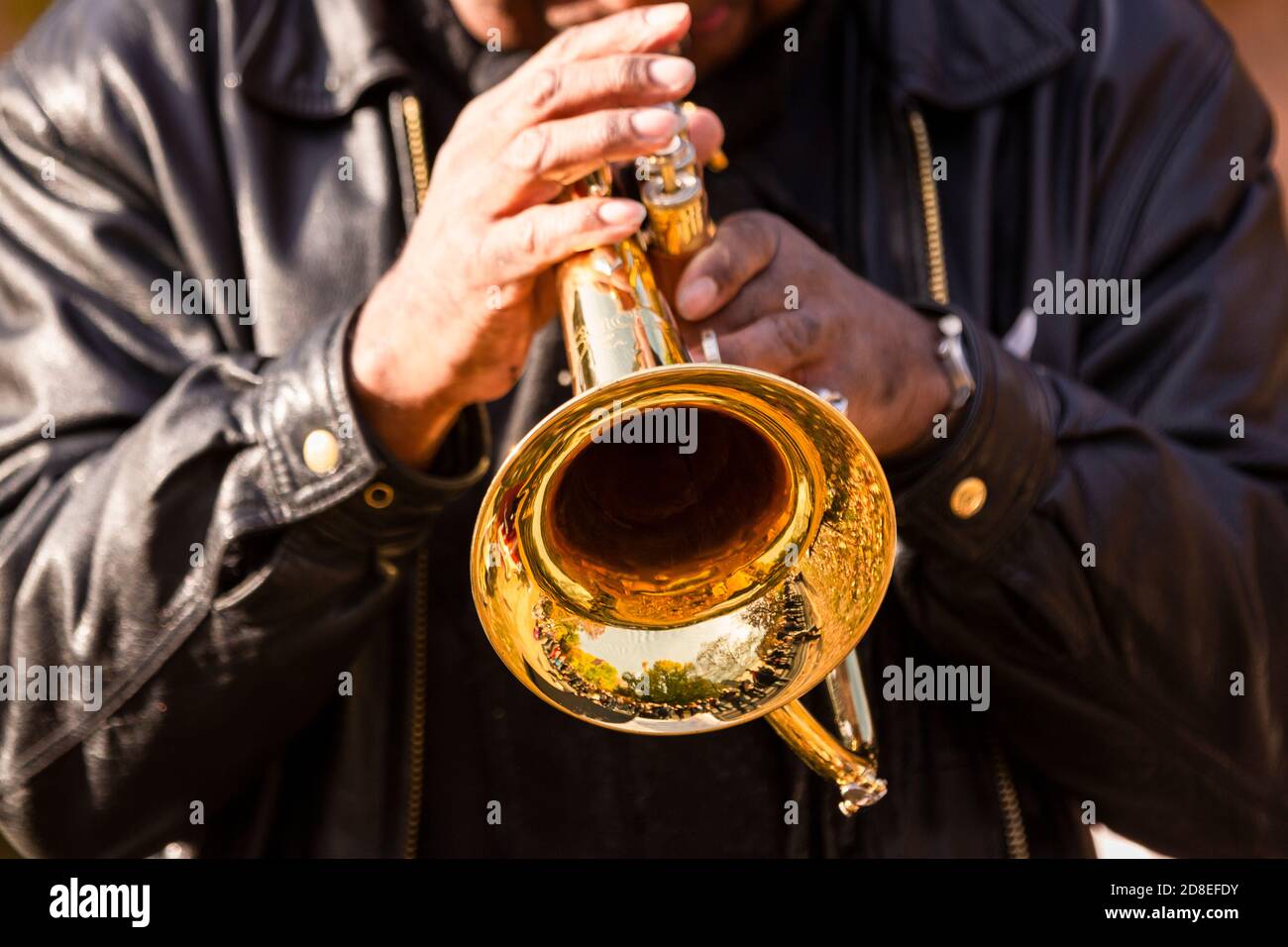 Jazz im Park Stockfoto