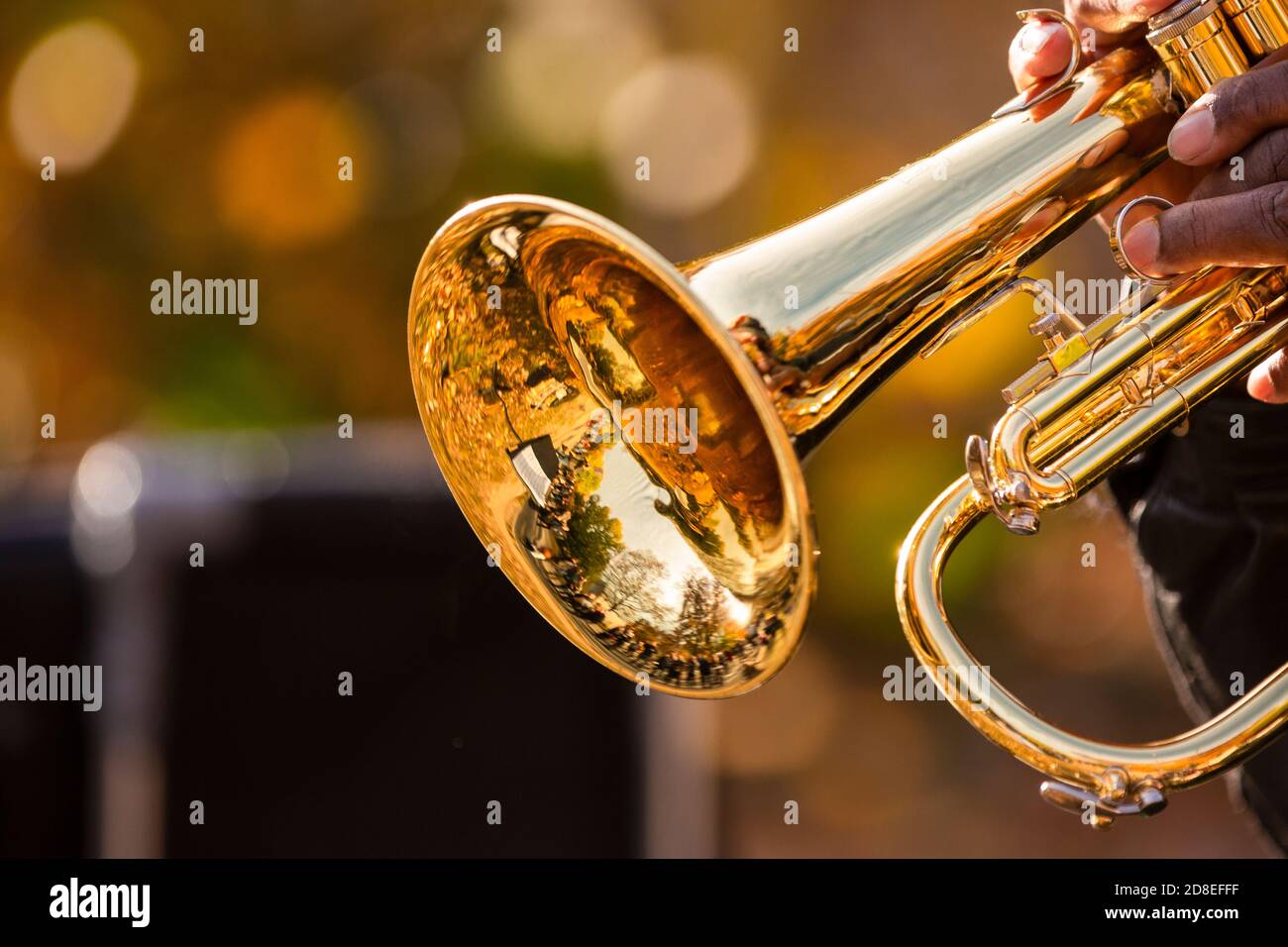 Jazz im Park Stockfoto