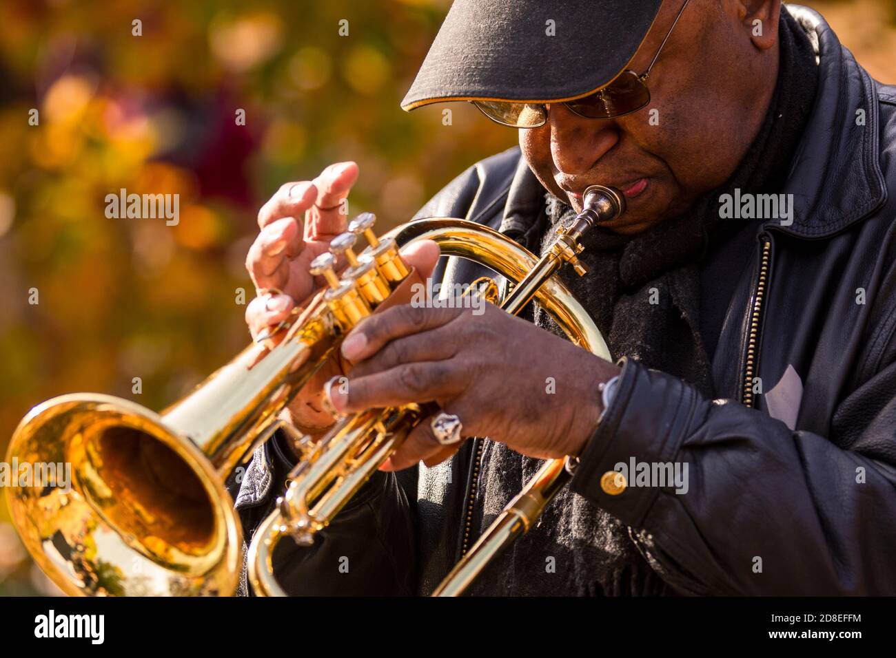 Jazz im Park Stockfoto