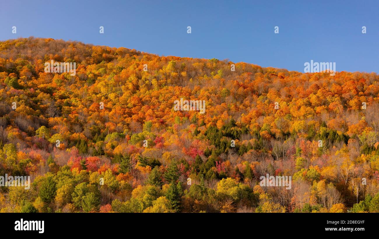 WARREN, VERMONT, USA - Herbstlaub in Mad River Valley, Green Mountains. Stockfoto