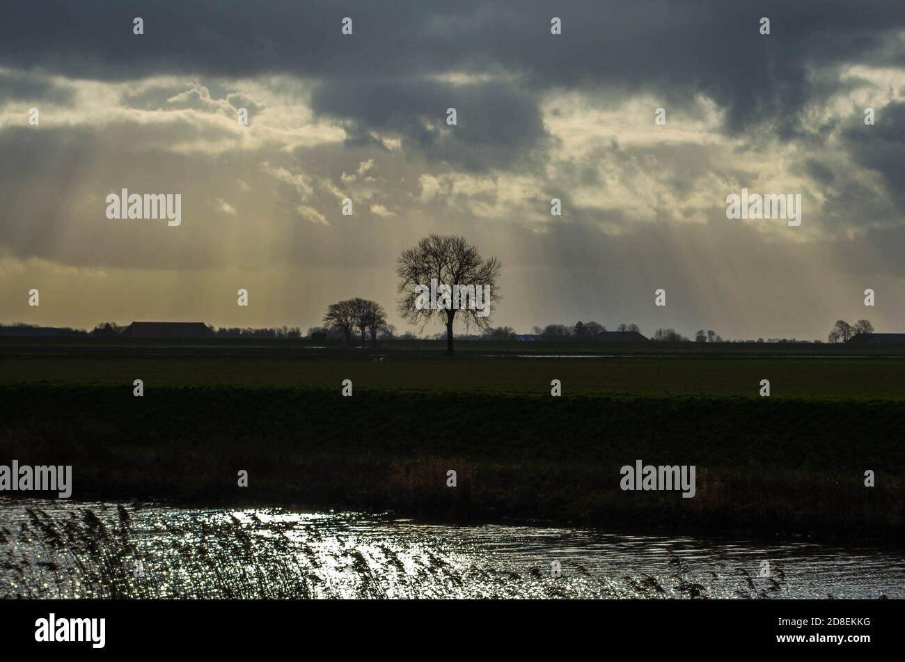 Ein Baum in Silhouette in der Abenddämmerung in Nieuwe Statenzijl, Niederlande. Die Westerwoldse AA fließt im Vordergrund. Stockfoto