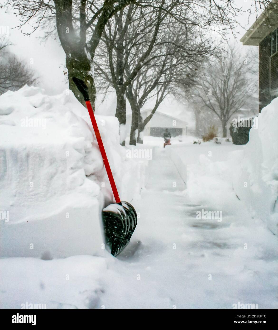 Eine kirschrot gehandelte Schaufel, die gegen 4 Fuß Schnee thront, driftet entlang eines Gehwegs in Chicago während eines Januar-Schneesturms. Stockfoto