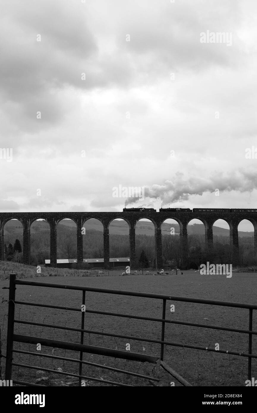 '44871' führt '45407' durch das Viadukt von Cynghordy mit einem Zug in Richtung Norden. Stockfoto