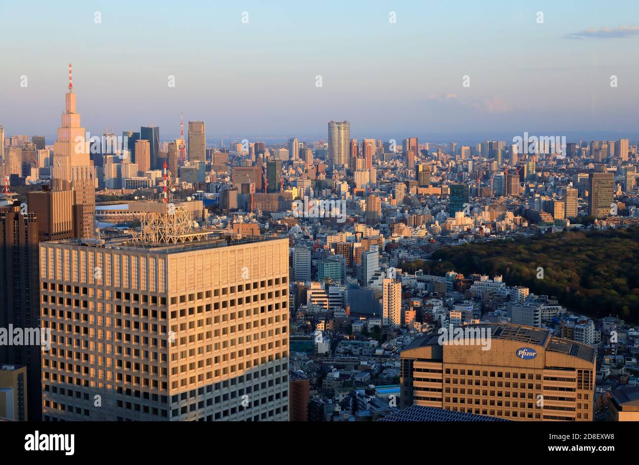 Der Blick auf das Stadtbild von Tokio mit dem KDDI Building (Vordergrund) NTT Docomo Yoyogi Building und Yoyogi Park in der Mitte Vom südlichen Observatorium des Tokyo Metropolitan Government Building.Shinjuku.Tokyo.Japan Stockfoto