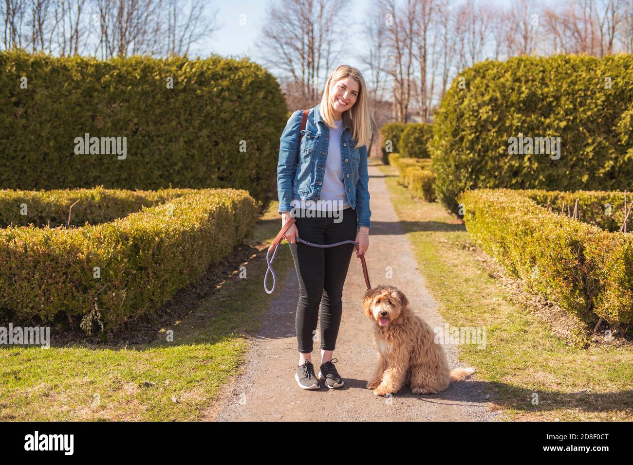 Happy Labradoodle Hund und Frau draußen im Park Stockfoto