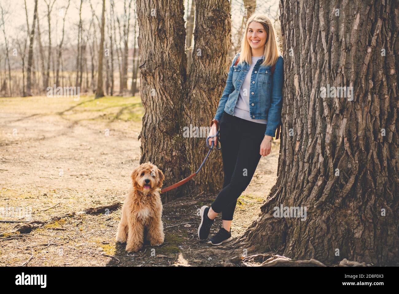 Happy Labradoodle Hund und Frau draußen im Park Stockfoto