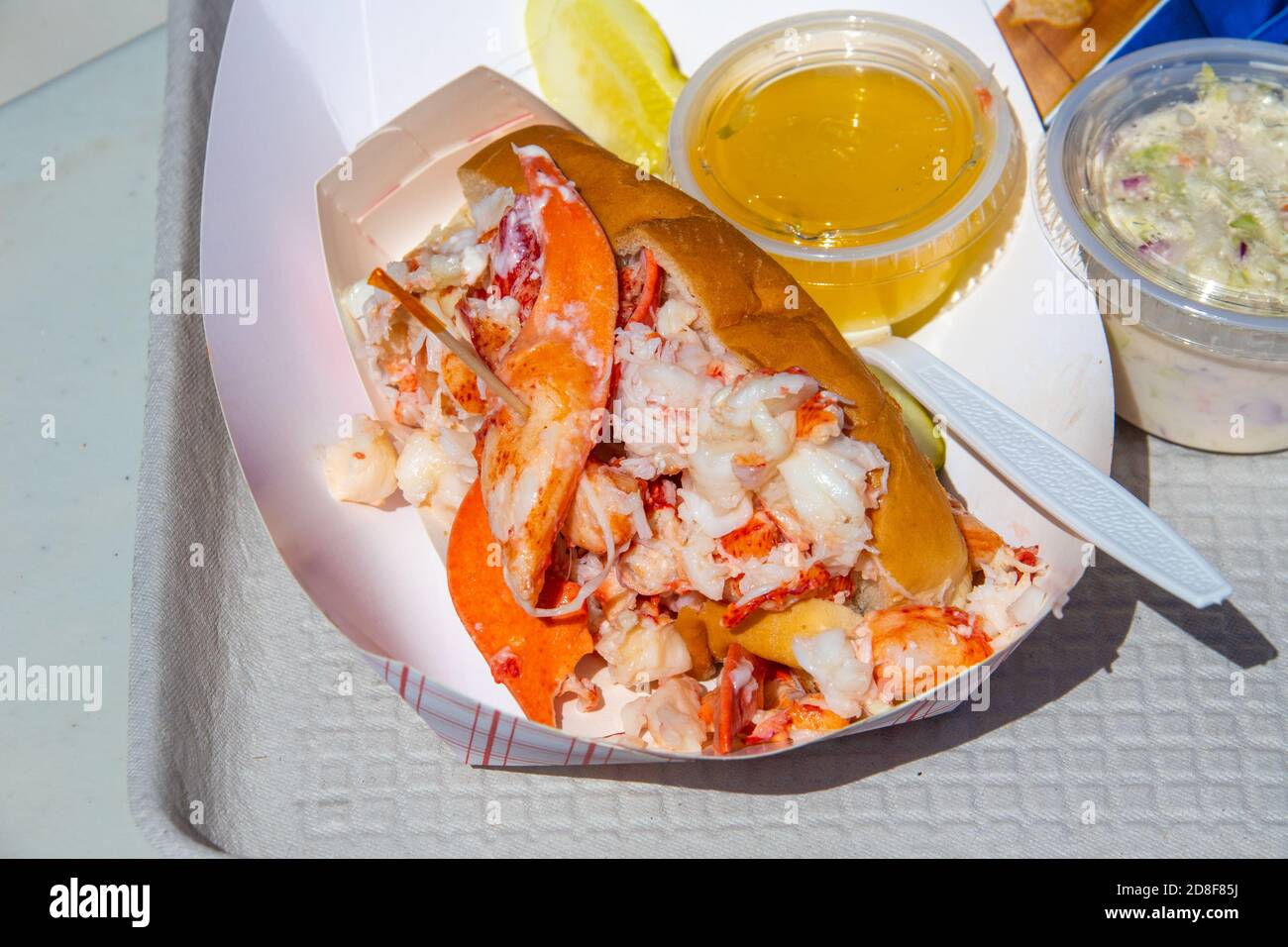 Hummerrolle, Quoddy Bay Lobster Restaurant, Eastport, Maine, USA Stockfoto