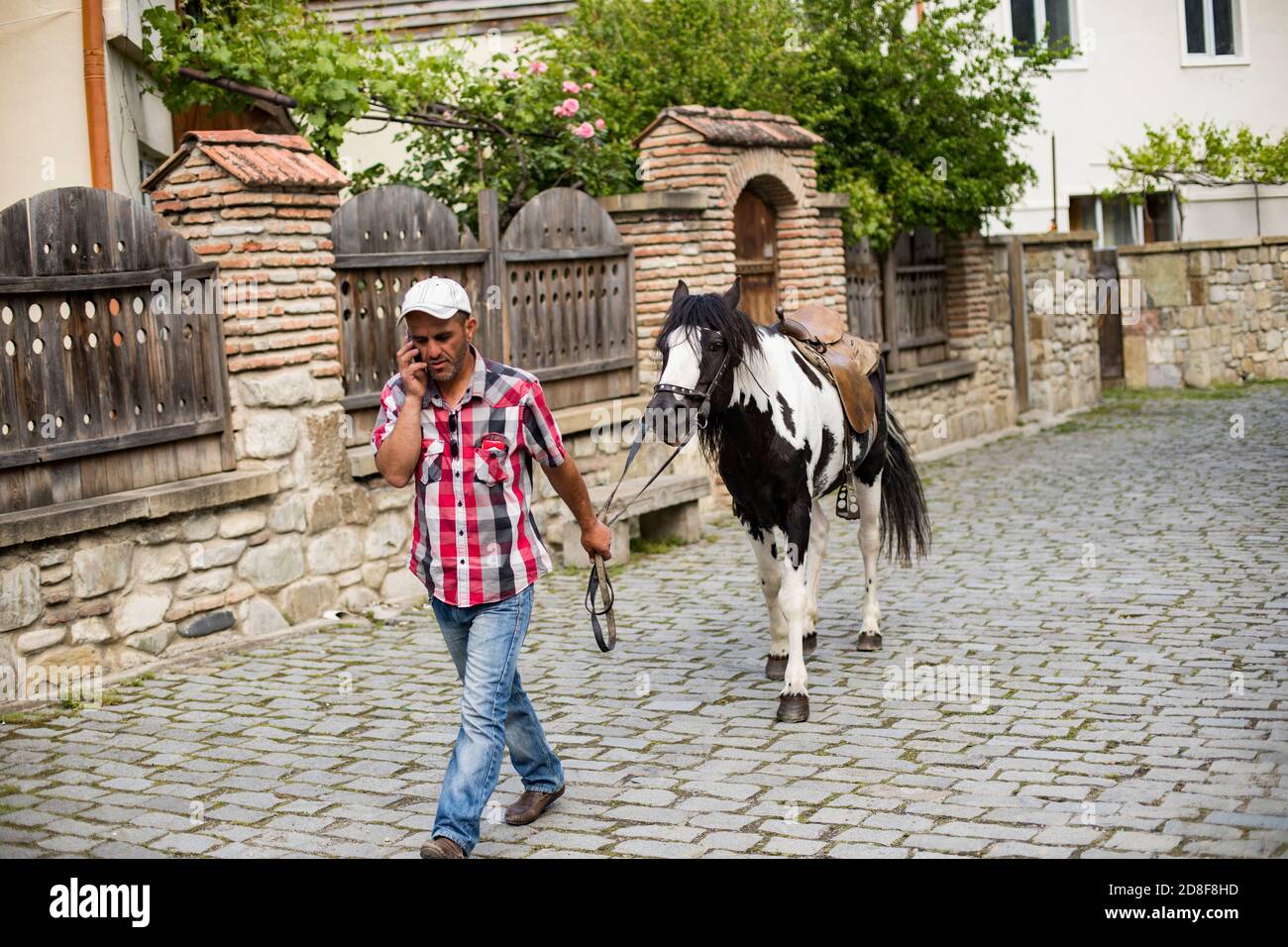Ein Mann, der mit dem Handy spricht, führt sein Pferd durch die kopfsteingepflasterten Straßen von Mzcheta, Georgien, Kaukasus, Osteuropa. Stockfoto