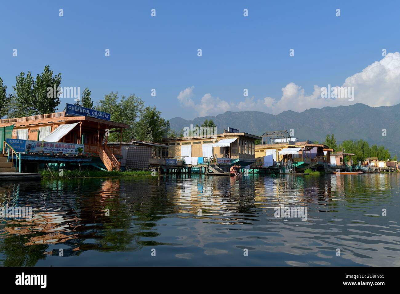 Hausboote entlang des Dal-Sees in der Sommerhauptstadt von Srinagar, Kaschmir, Nordindien Stockfoto