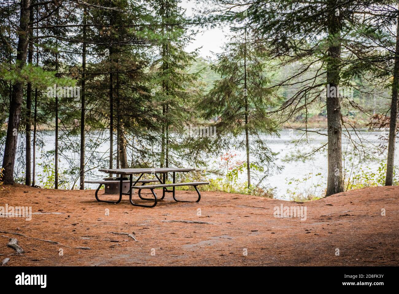 Leerer Campingplatz in einem Nationalpark niemand um Stockfoto