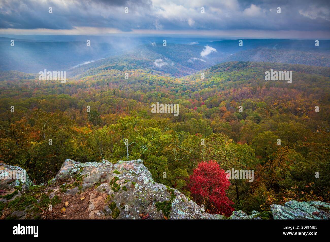 White Rock Mountain Erholungsgebiet im Ozark National Forest in Arkansas. Stockfoto