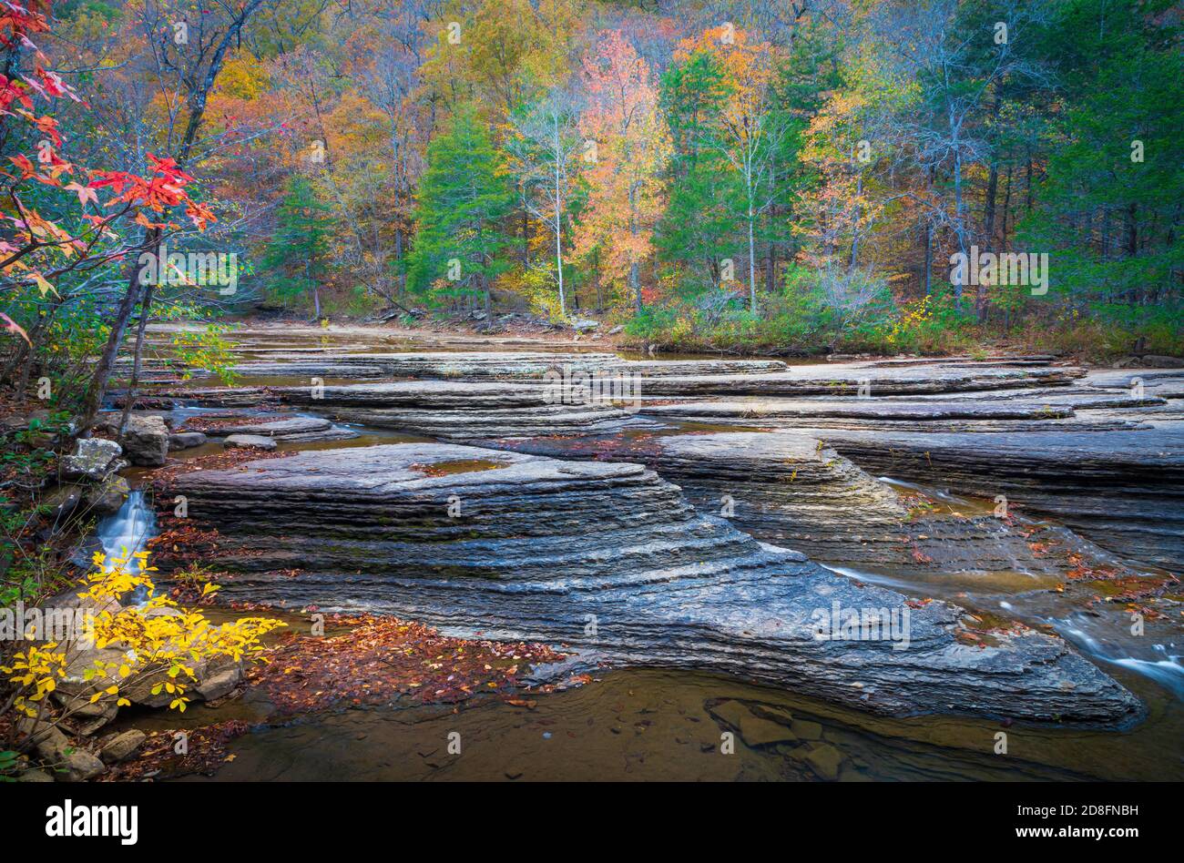 Six Finger Falls ist ein Naturwunder in der Richland Creek Gegend von South Newton County im Norden von Arkansas. Stockfoto