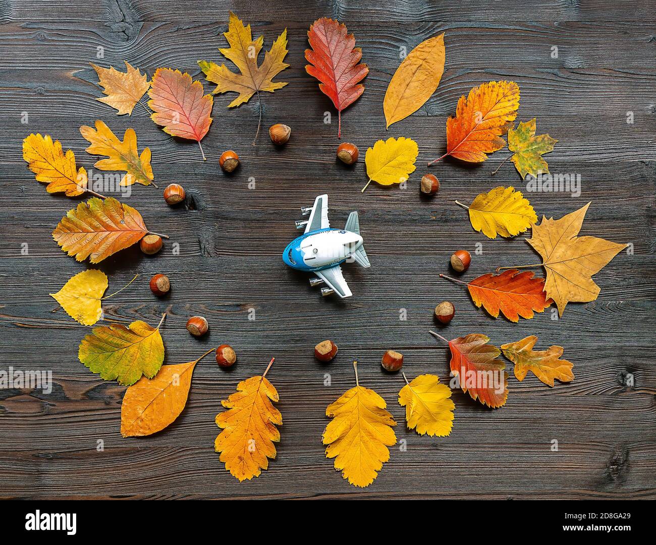 Reisekonzept Herbstferien. Stockfoto