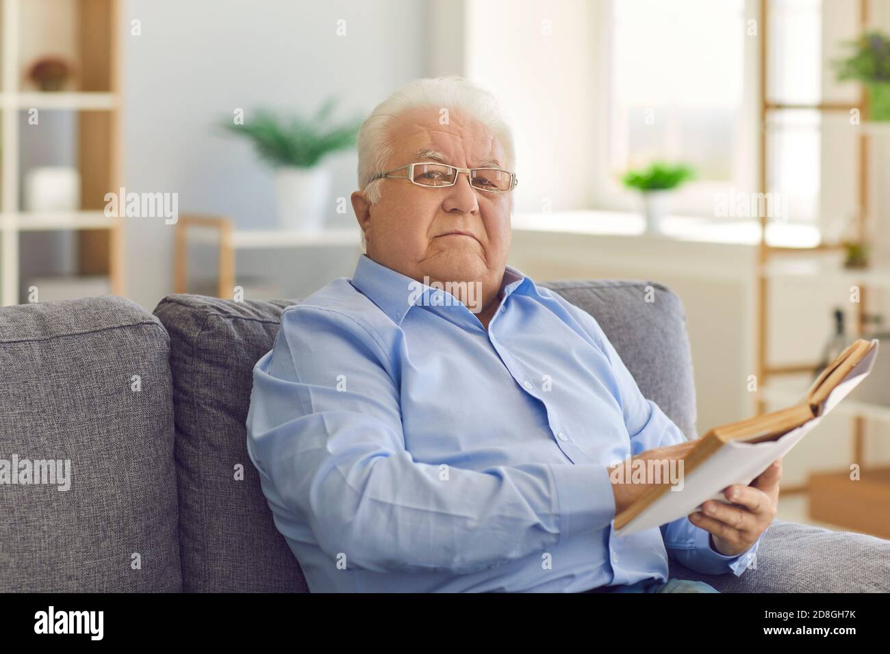 Porträt eines ernsthaft fokussierten älteren Mannes, der auf der Couch sitzt und ein Interessantes Buch liest. Stockfoto