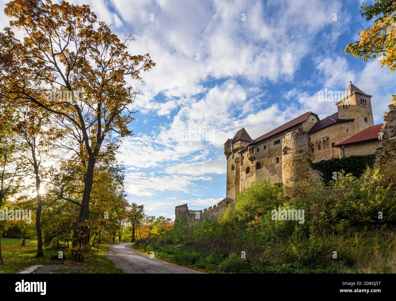 Maria Enzersdorf: Schloss Liechtenstein, Ursprungsort des Hauses Liechtenstein, Herbstblätter, Wienerwald, Wienerwald, Niederösterreich, Stockfoto