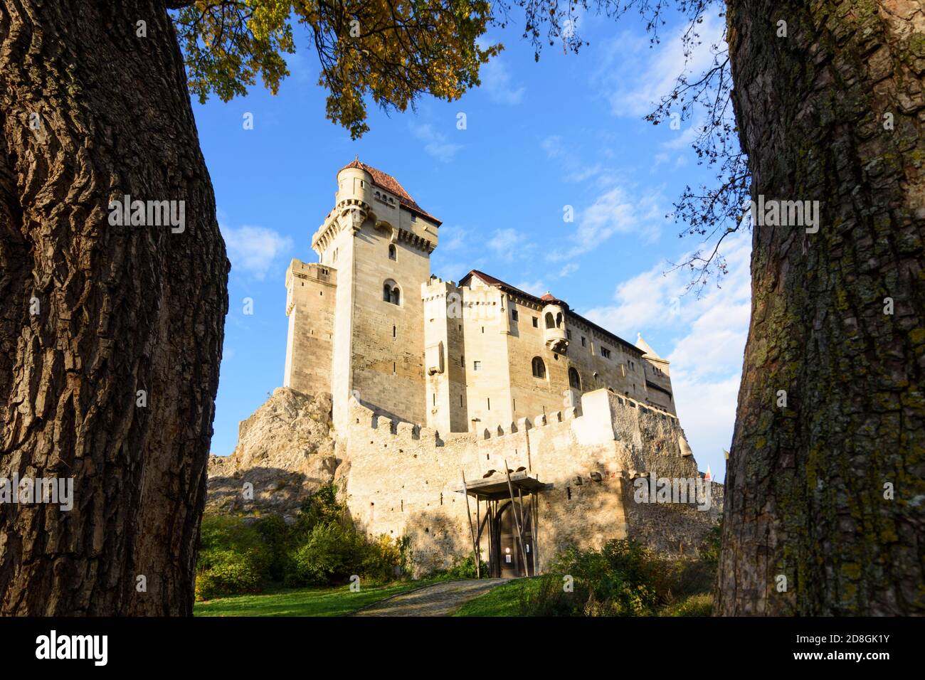 Maria Enzersdorf: Schloss Liechtenstein, Ursprungsort des Hauses Liechtenstein, Herbstblätter, Wienerwald, Wienerwald, Niederösterreich, Stockfoto