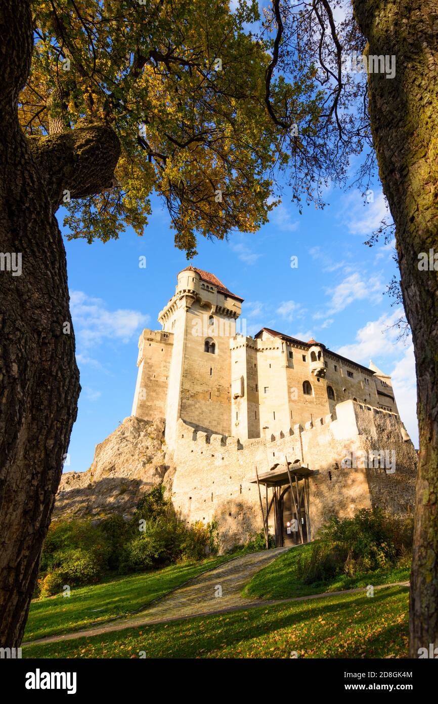 Maria Enzersdorf: Schloss Liechtenstein, Ursprungsort des Hauses Liechtenstein, Herbstblätter, Wienerwald, Wienerwald, Niederösterreich, Stockfoto