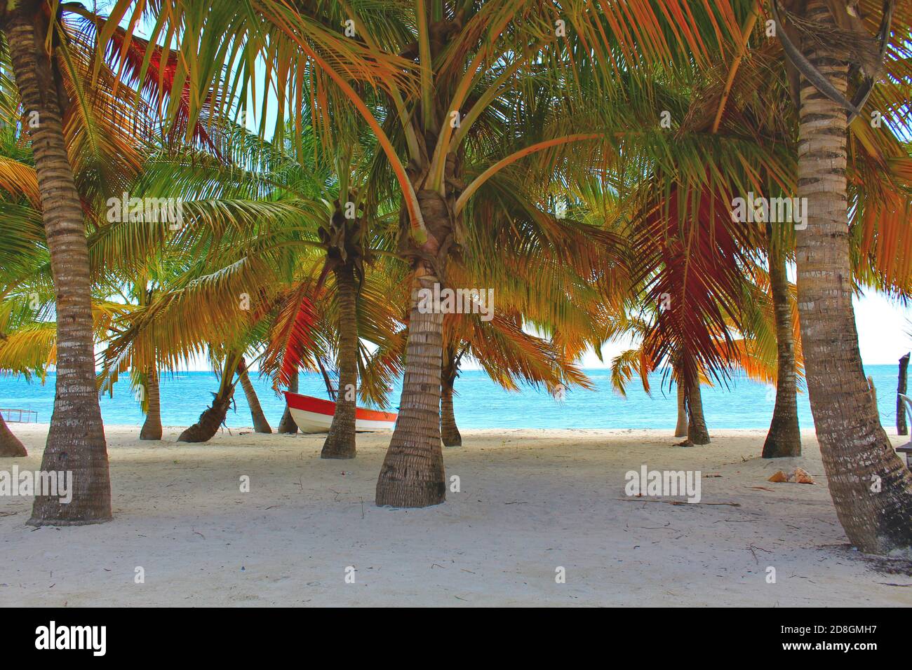 Ein paradiesischer weißer Strand in santo domingo, mit Palmen und einem weißen und roten Boot Stockfoto