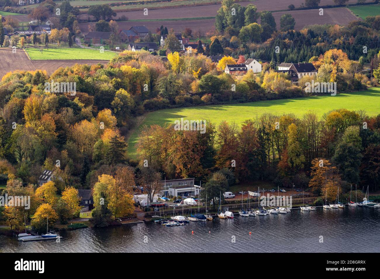 Baldeneysee, am Südostufer, Bezirk Fischlaken, im Herbst, Essen, Herbst, NRW, Deutschland, Stockfoto