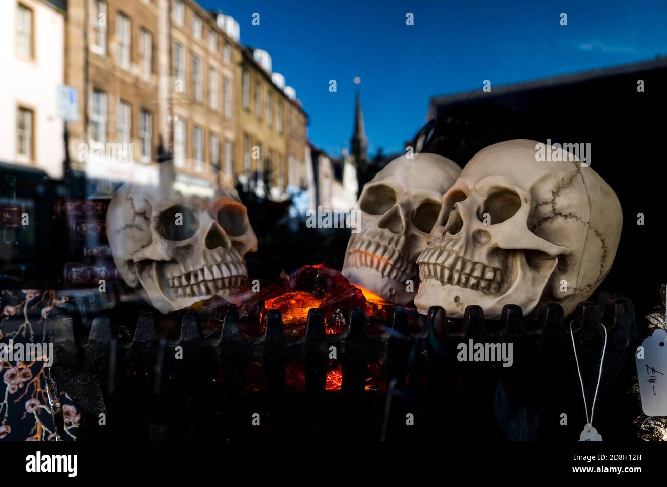 East Lothian, Schottland, Großbritannien, 30. Oktober 2020. Halloween Dekorationen: Ein Geschäft in Haddington High Street mit einer Halloween-Ausstellung von Schädeln im Fenster Stockfoto