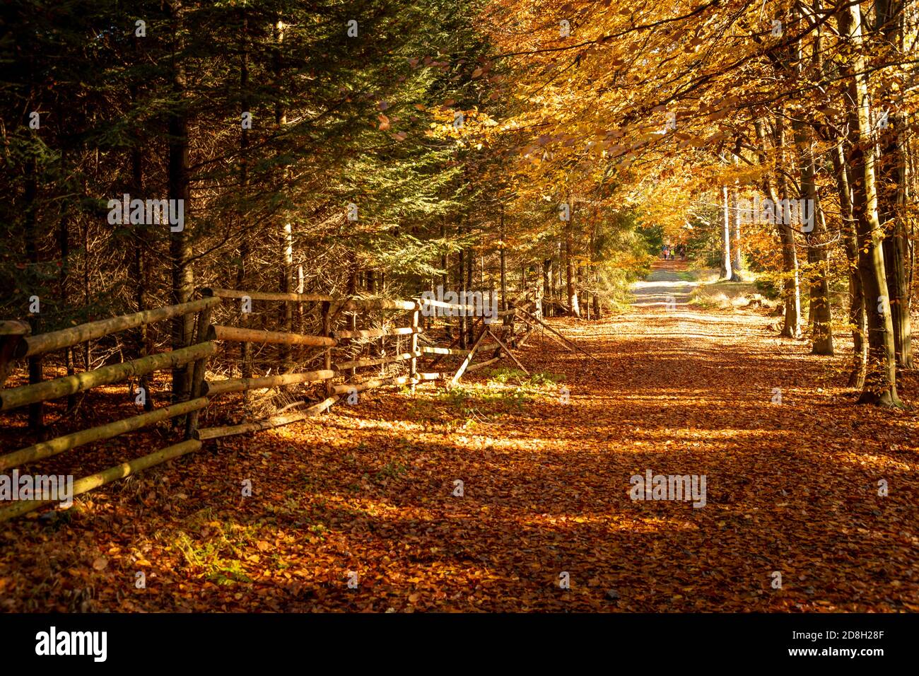 Herbst im Hochland, tschechische republik Stockfoto