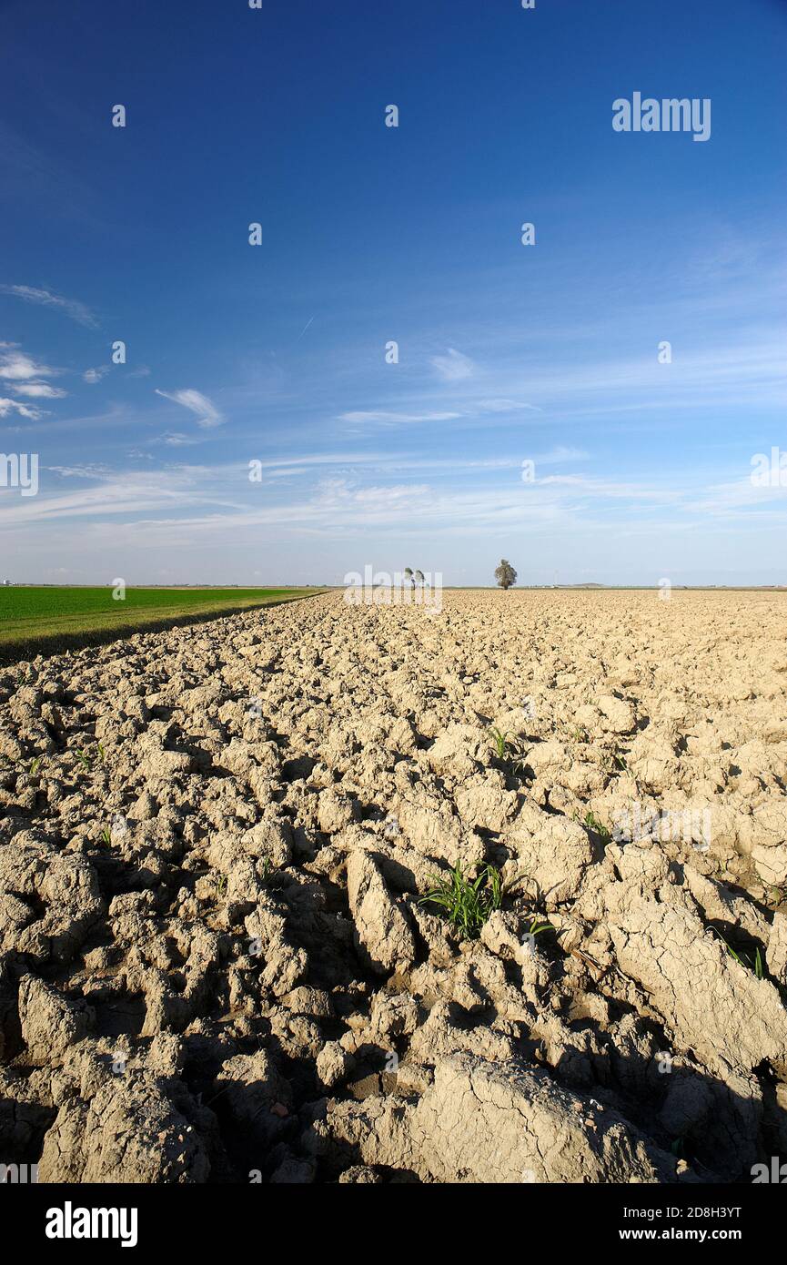 Porto Viro (RO), Po River Delta, Italien, eine landwirtschaftliche Acker gepflügt Stockfoto