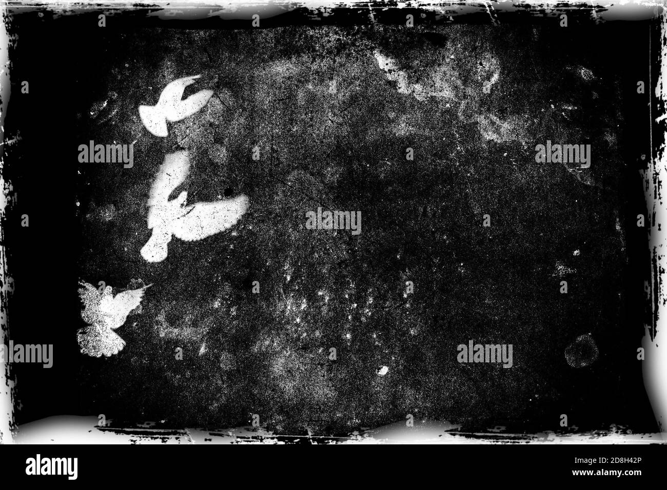 Monochrome Landschaft mit fliegenden Vögeln auf schwarzem Grunge-Hintergrund. Textur von altem Papier. Gothic-Style. Schwarz-Weiß-Abbildung Stockfoto
