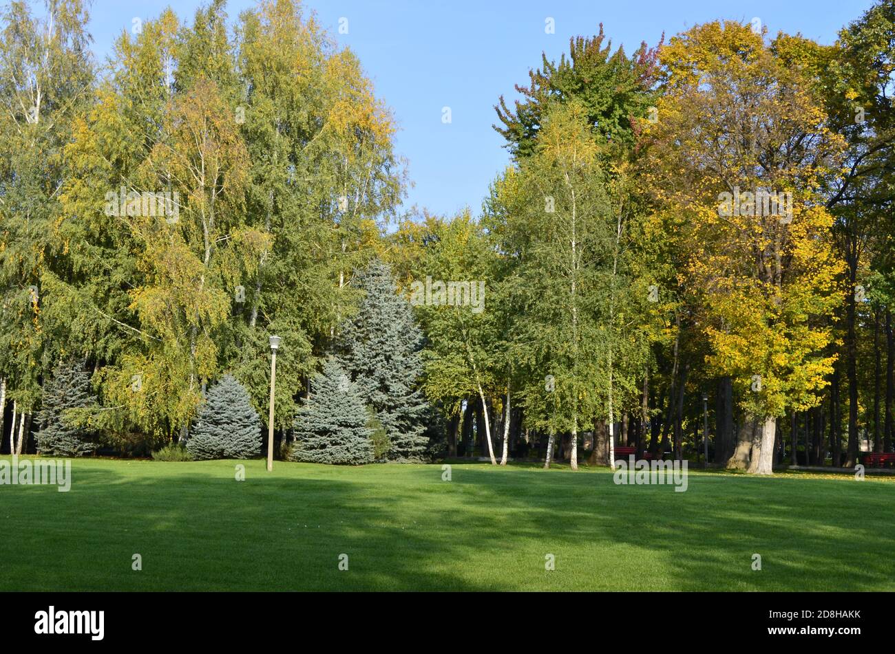 Landschaft eines Naturparks Stockfoto