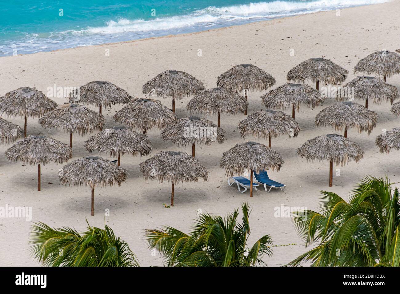 Sonnenschirme stehen in einer Reihe auf Sand in einem Resort am Strand von Varadero in Kuba. Top Luftaufnahme. Stockfoto