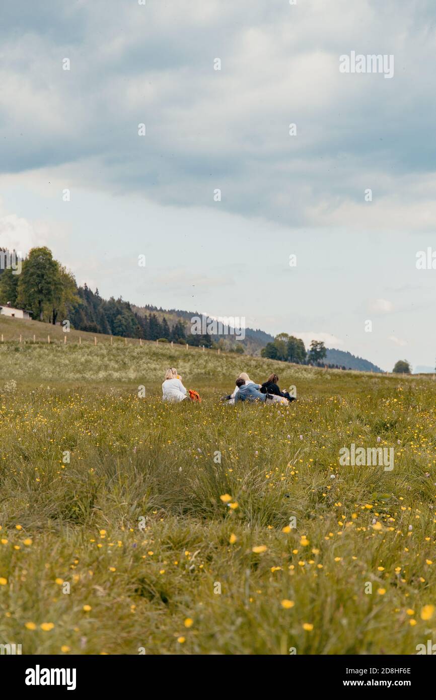 Eine Gruppe von Freunden genießt ein Picknick auf einem Feld In den Bergen Stockfoto