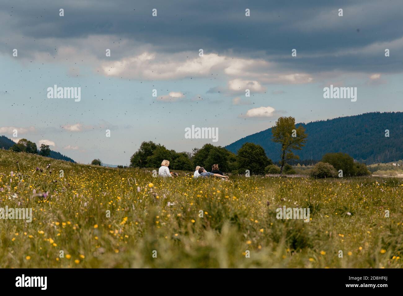 Eine Gruppe von Freunden genießt ein Picknick auf einem Feld In den Bergen Stockfoto