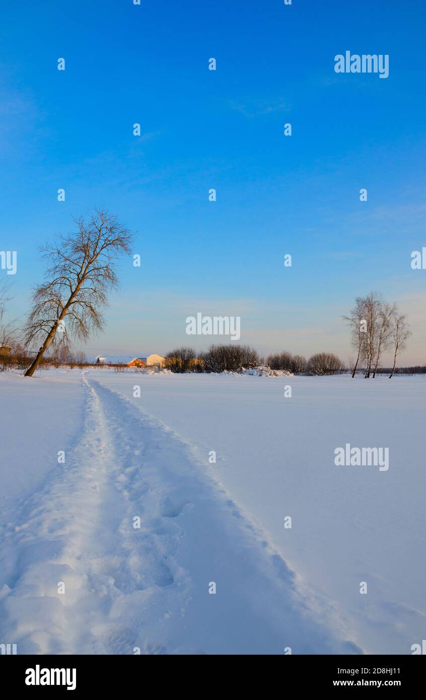 Sonnige Winterlandschaft mit Wanderweg im Tiefschnee Stockfoto
