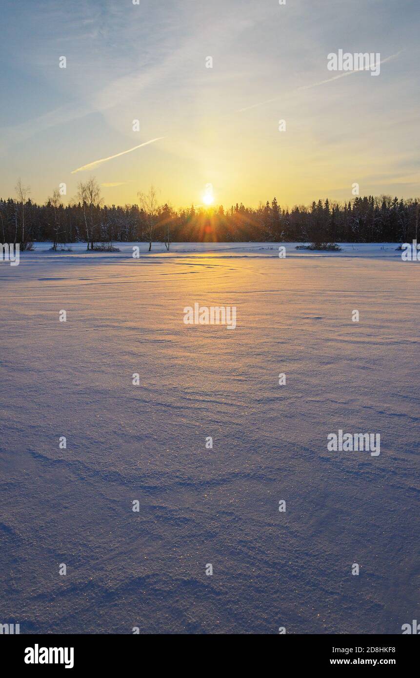 Frostige Winterlandschaft mit Waldrasen, beleuchtet vom Licht der aufgehenden Sonne. Stockfoto