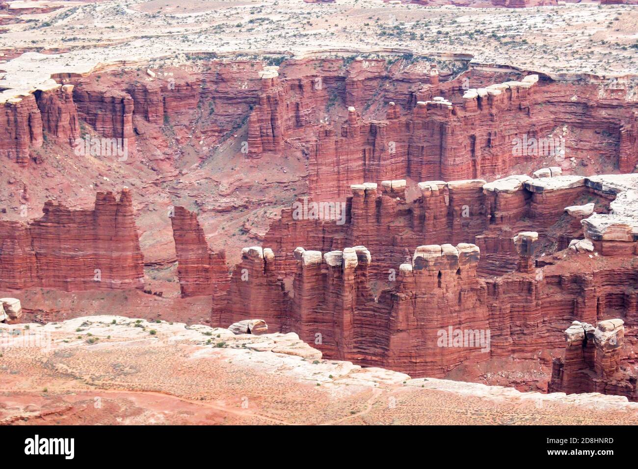 Sandstein Pinacles im Needles Distrikt des Canyonlands National Park, Utah, USA, vom Grand ViewPoint auf dem Isalnd in der Sky Mesa aus gesehen Stockfoto